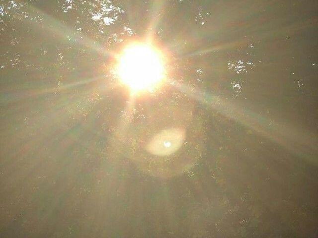 elizabeth  cover img