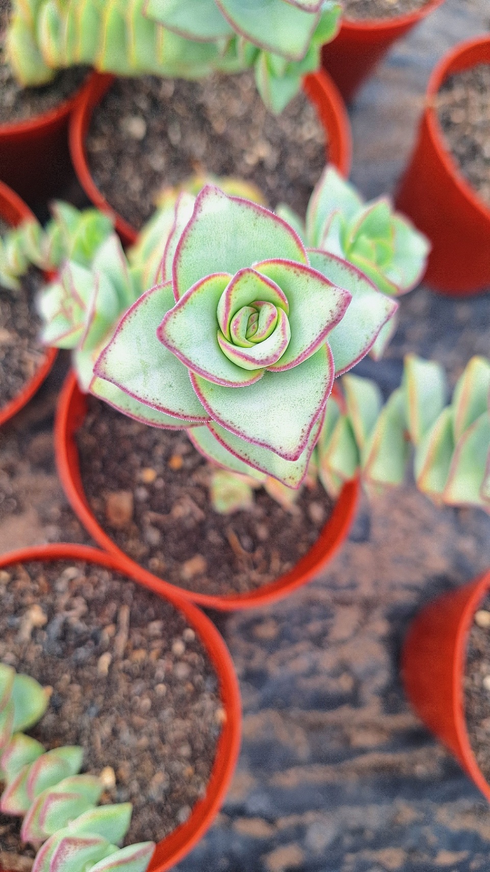 Utiliza tu imaginación 