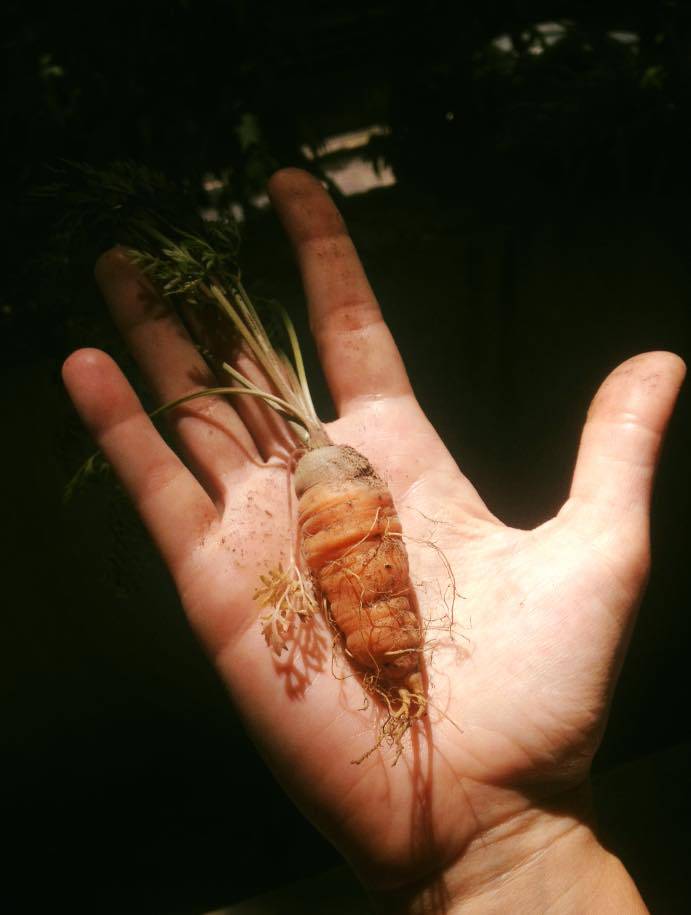 Loreta y la Naturaleza