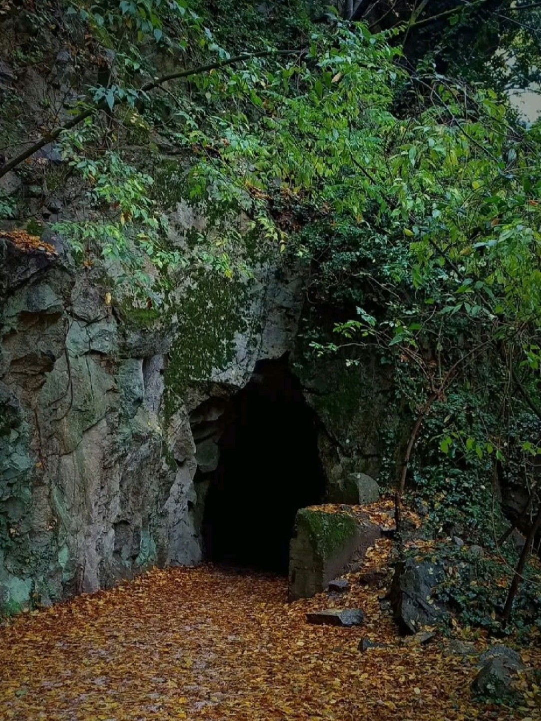 Cueva