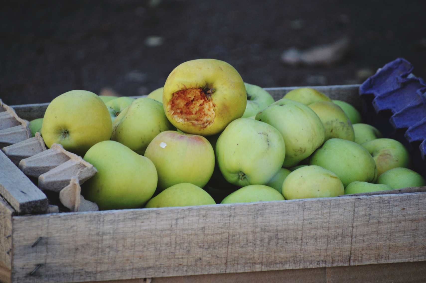La manzana podrida 