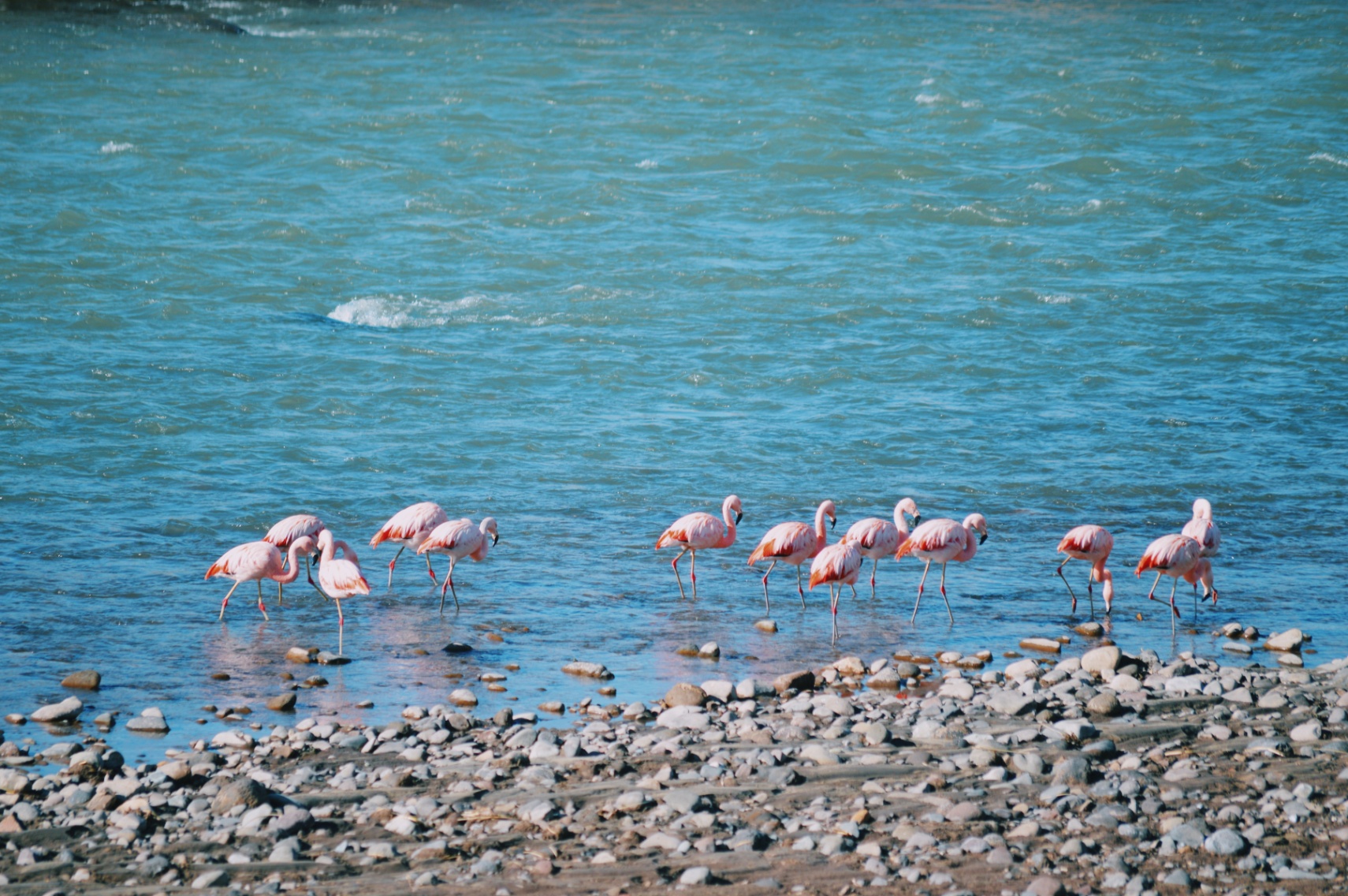 La inutilidad de lo simbólico 