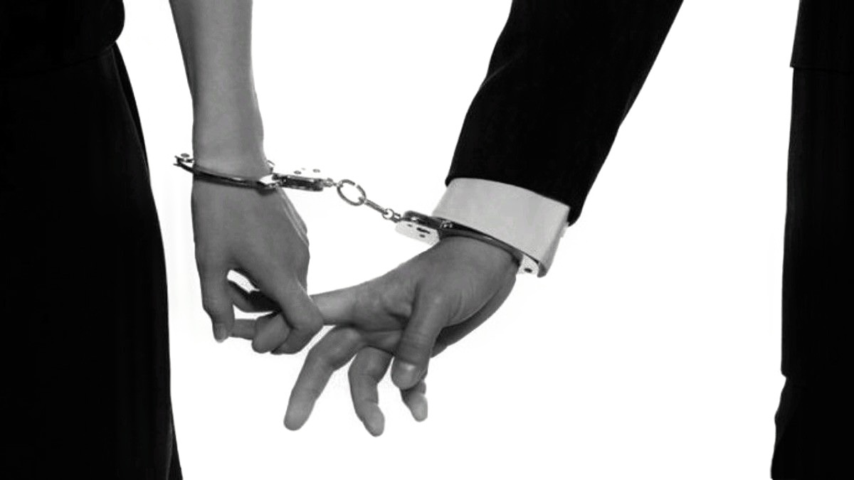 Libélula. cover img