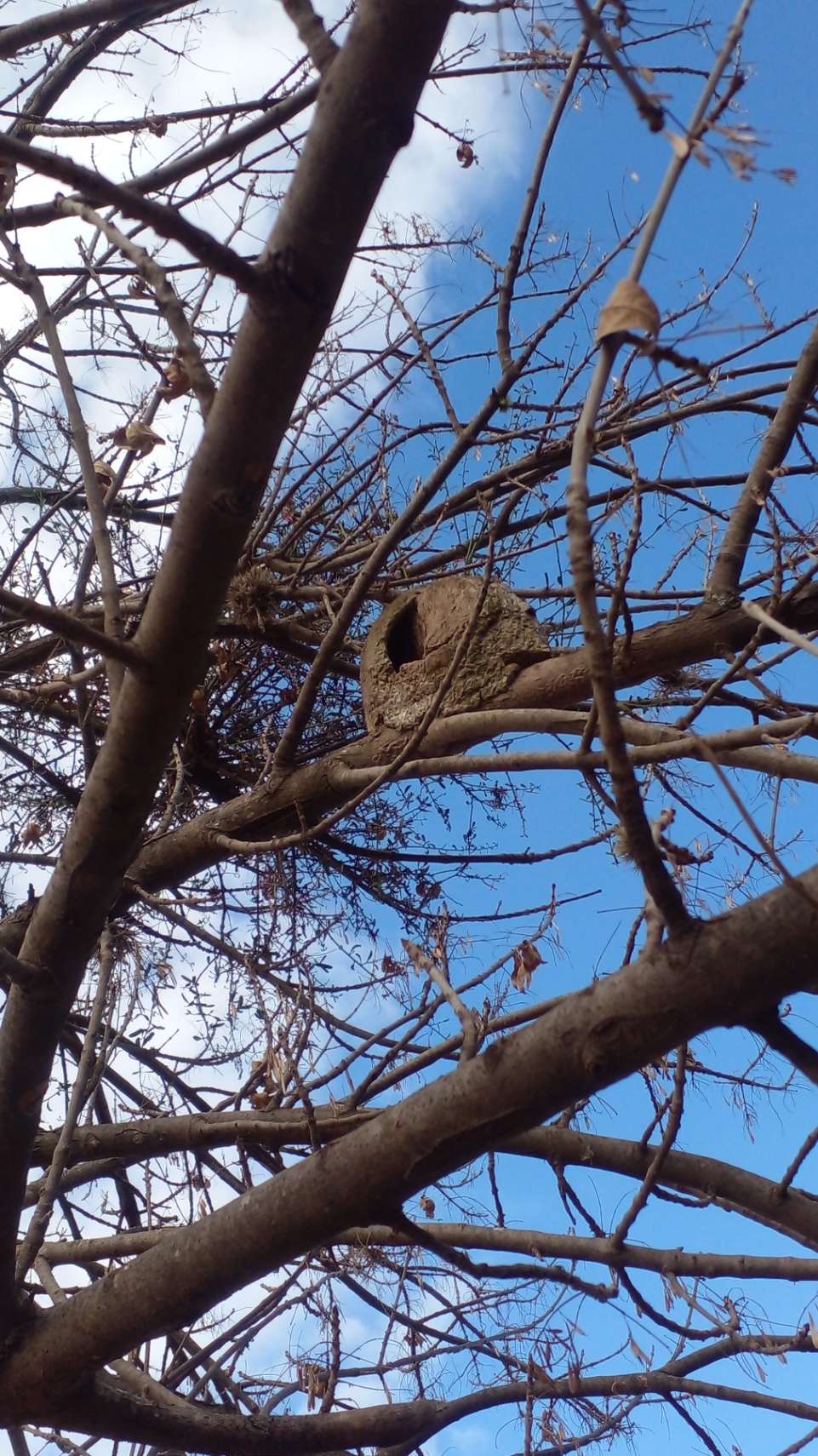 Mariana Emilse Frías cover img