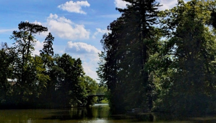 Me dás mucha tristeza