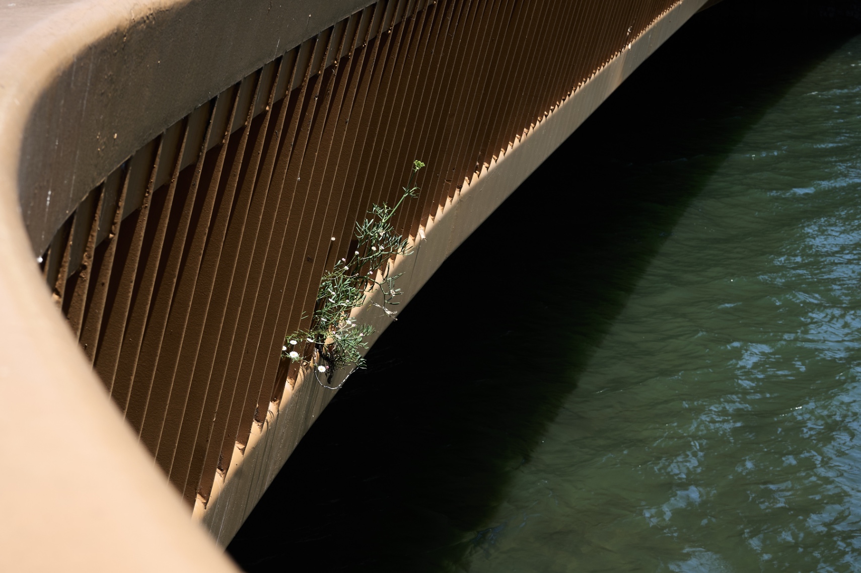 ¿Quién es responsable?