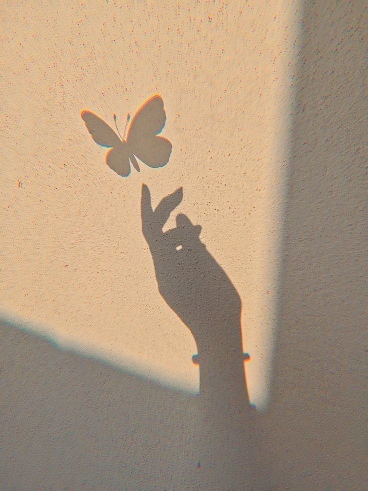 D̸e̸ t̸a̸n̸t̸o̸ v̸o̸l̸a̸r̸. C̸a̸í̸