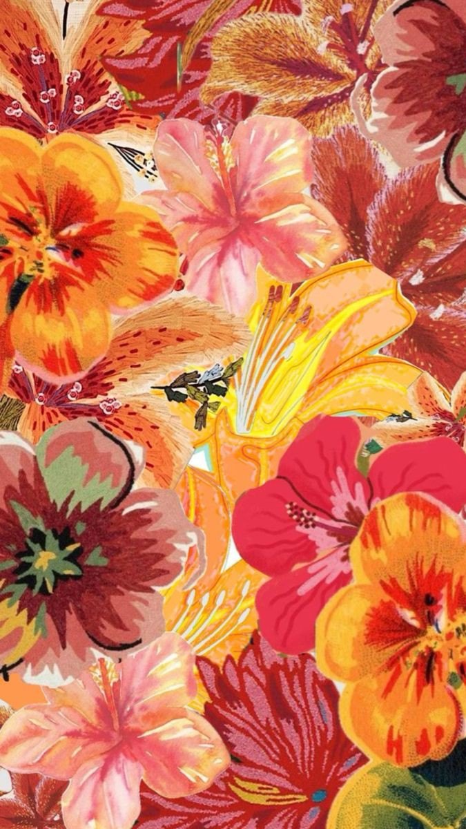 Sofia Grigorjev cover img