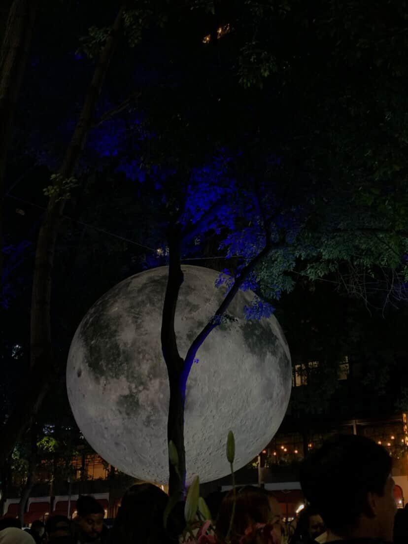 Entre perder y dudar 