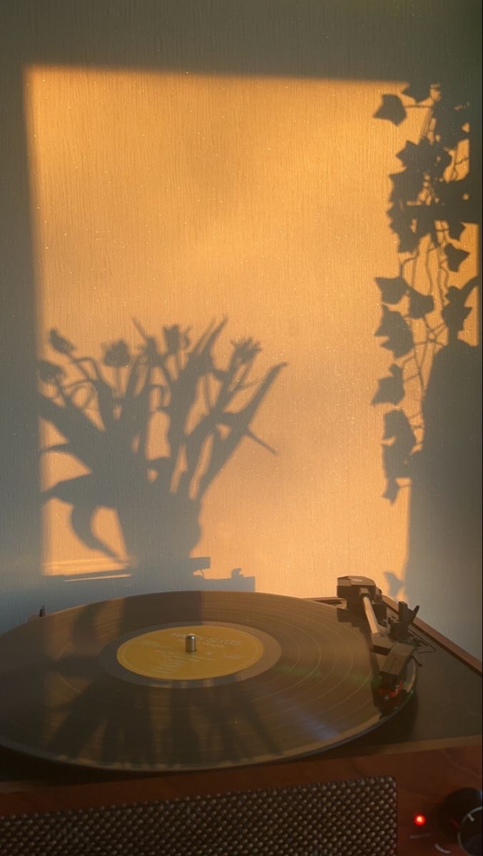 Agosto no supo sostenernos