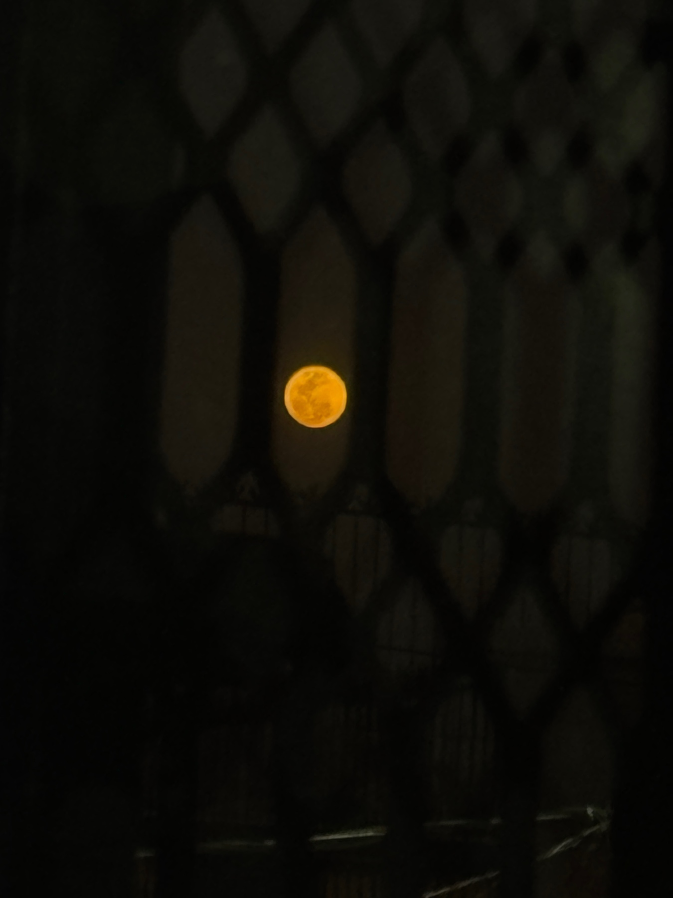 Cuando el invierno se llevó mi luna