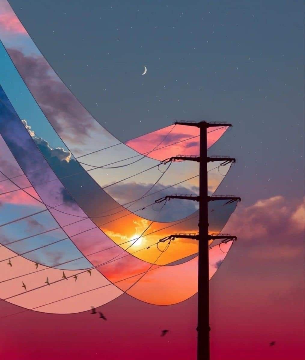 Entre Enero y Diciembre 