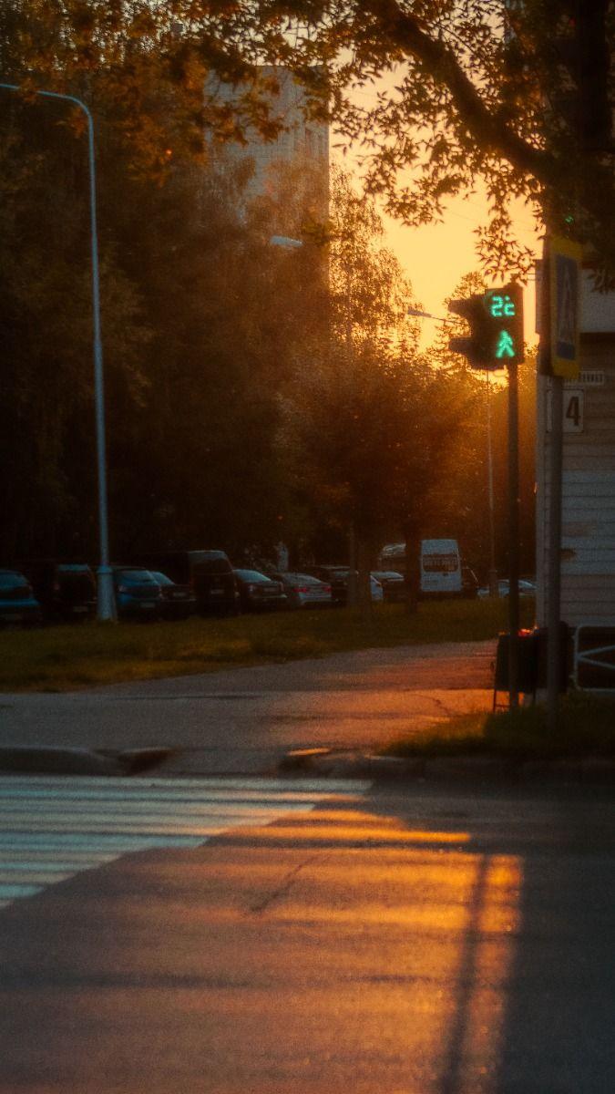 Cambios de estación 