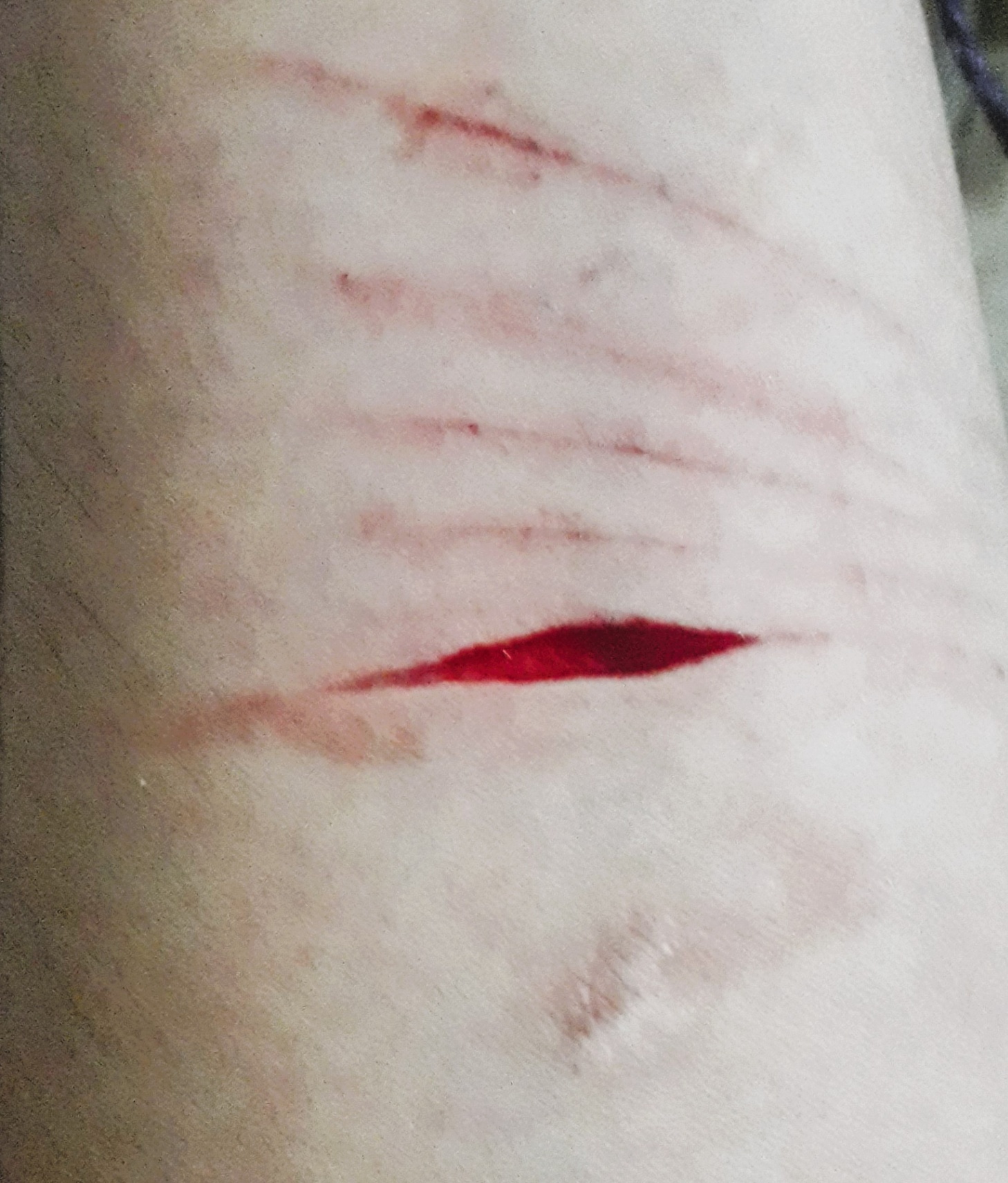 Temporalidad