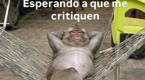 Mucho gusto