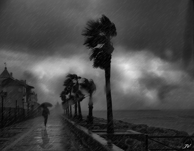 El faro en la tormenta. 