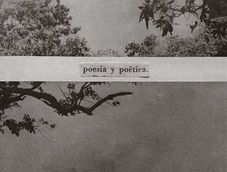 Ev(angel)ine. cover img