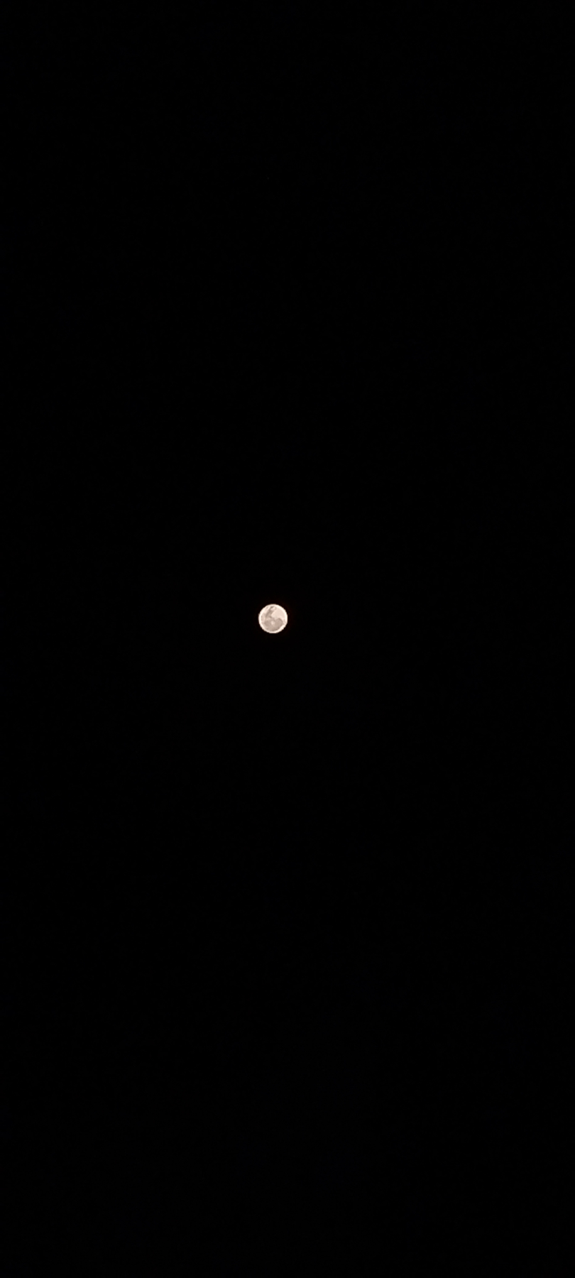 ¿Qué tengo que hacer para vuelvas?