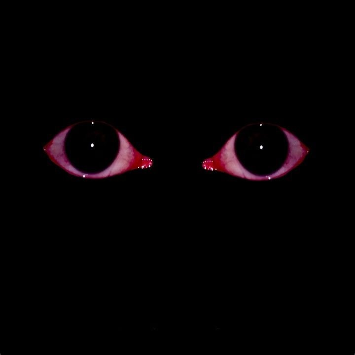 Miedo...
