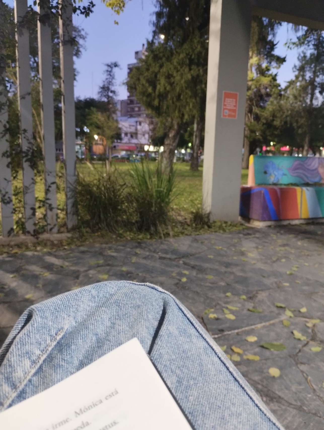 Sueños