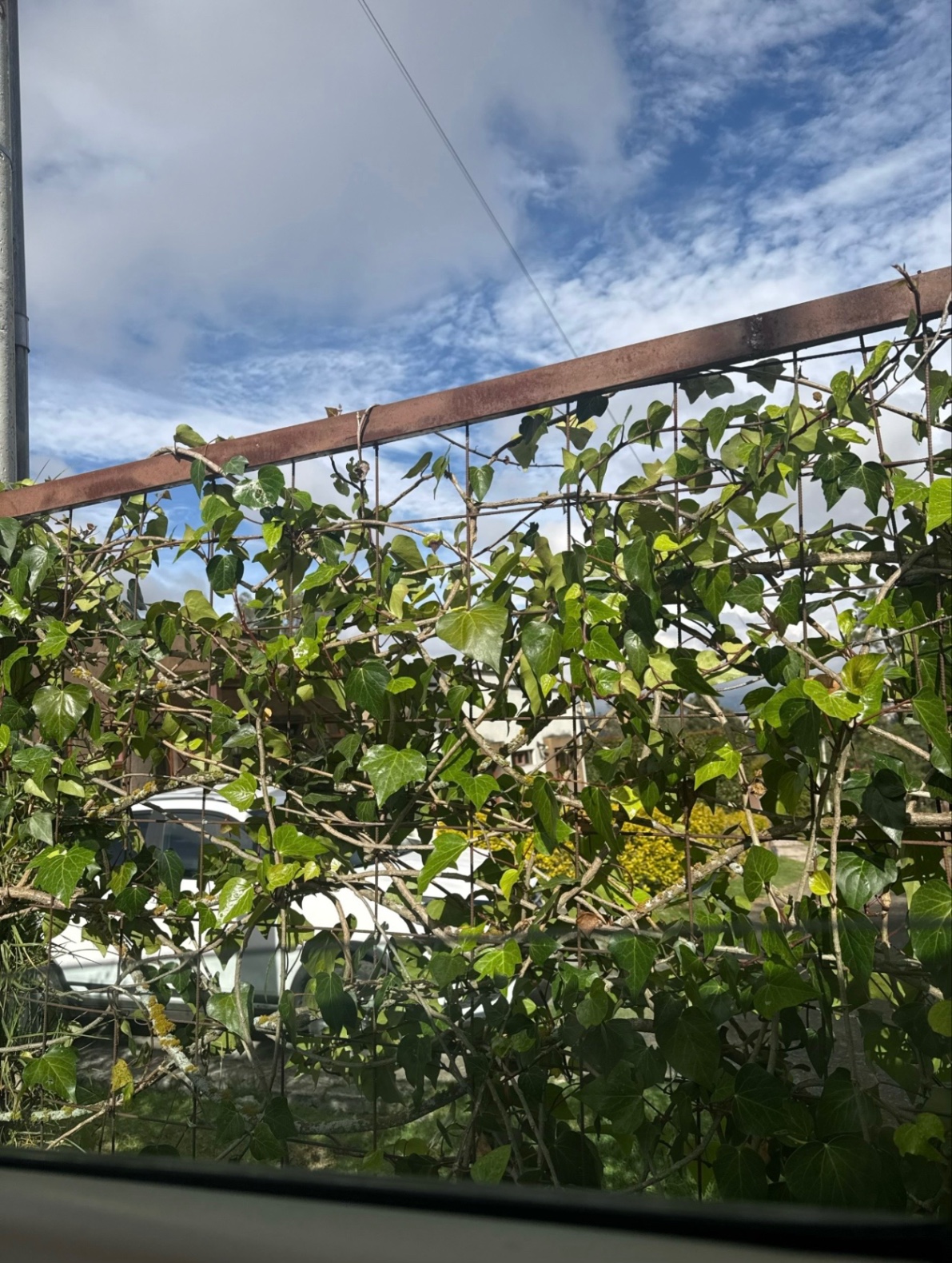 Seres independientes ✨