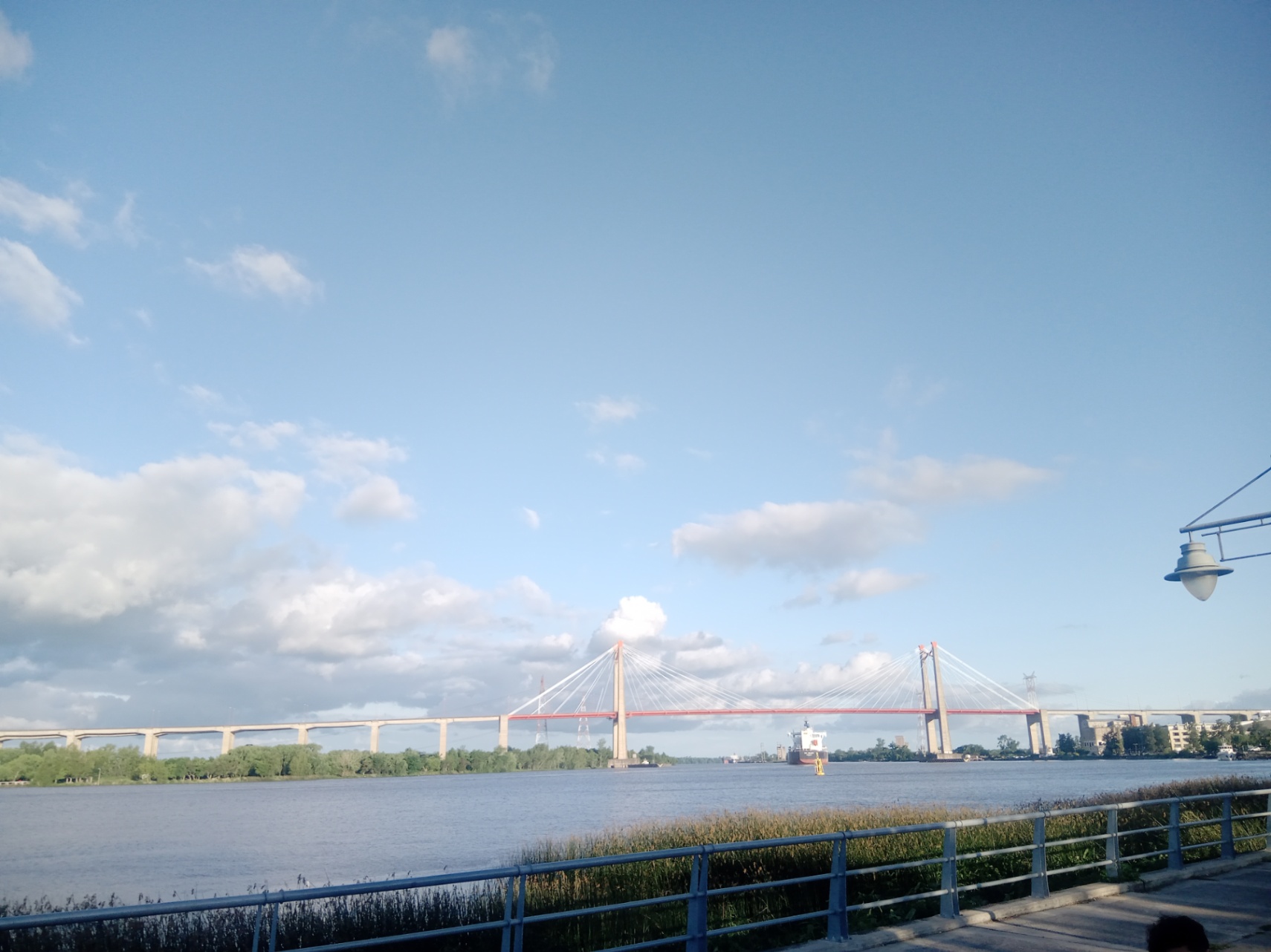 Alan Chaya cover img