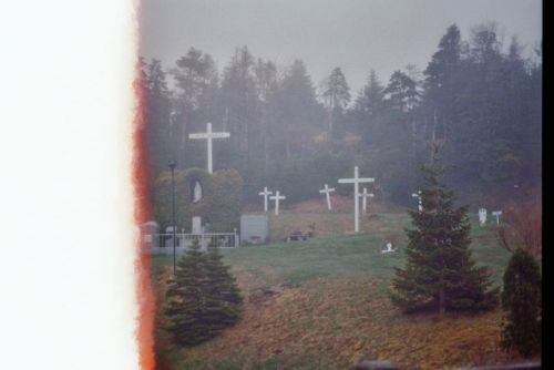 donde las palabras van a mirar y morir.