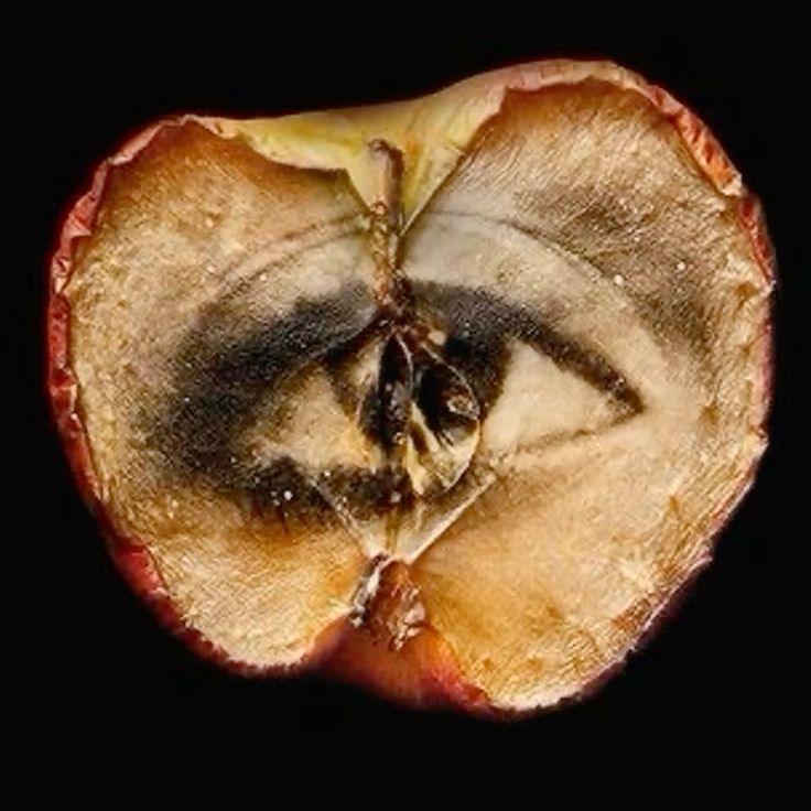 derrotismo.
