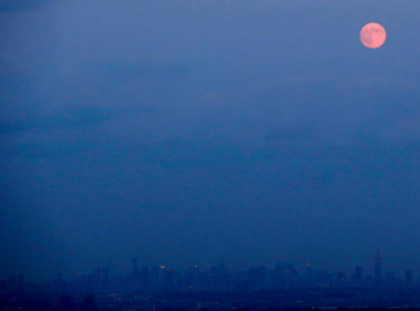 Fragmentos de insomnio.