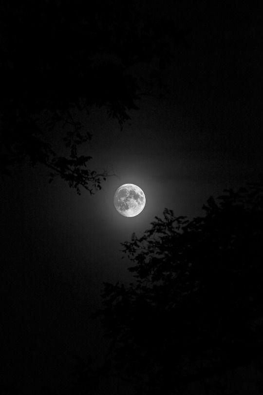 La noche en que el reloj dejó de latir
