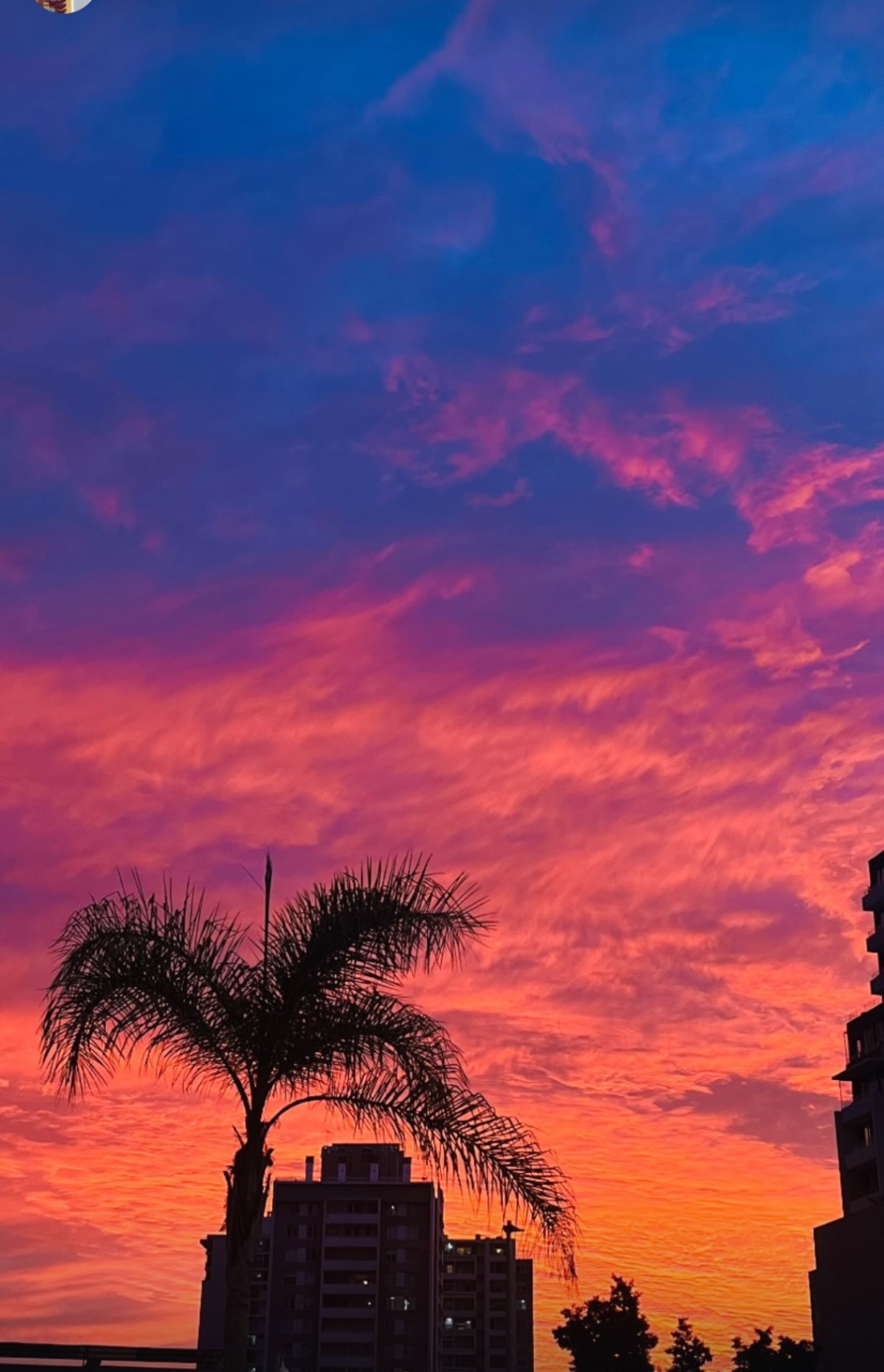 Colores santos