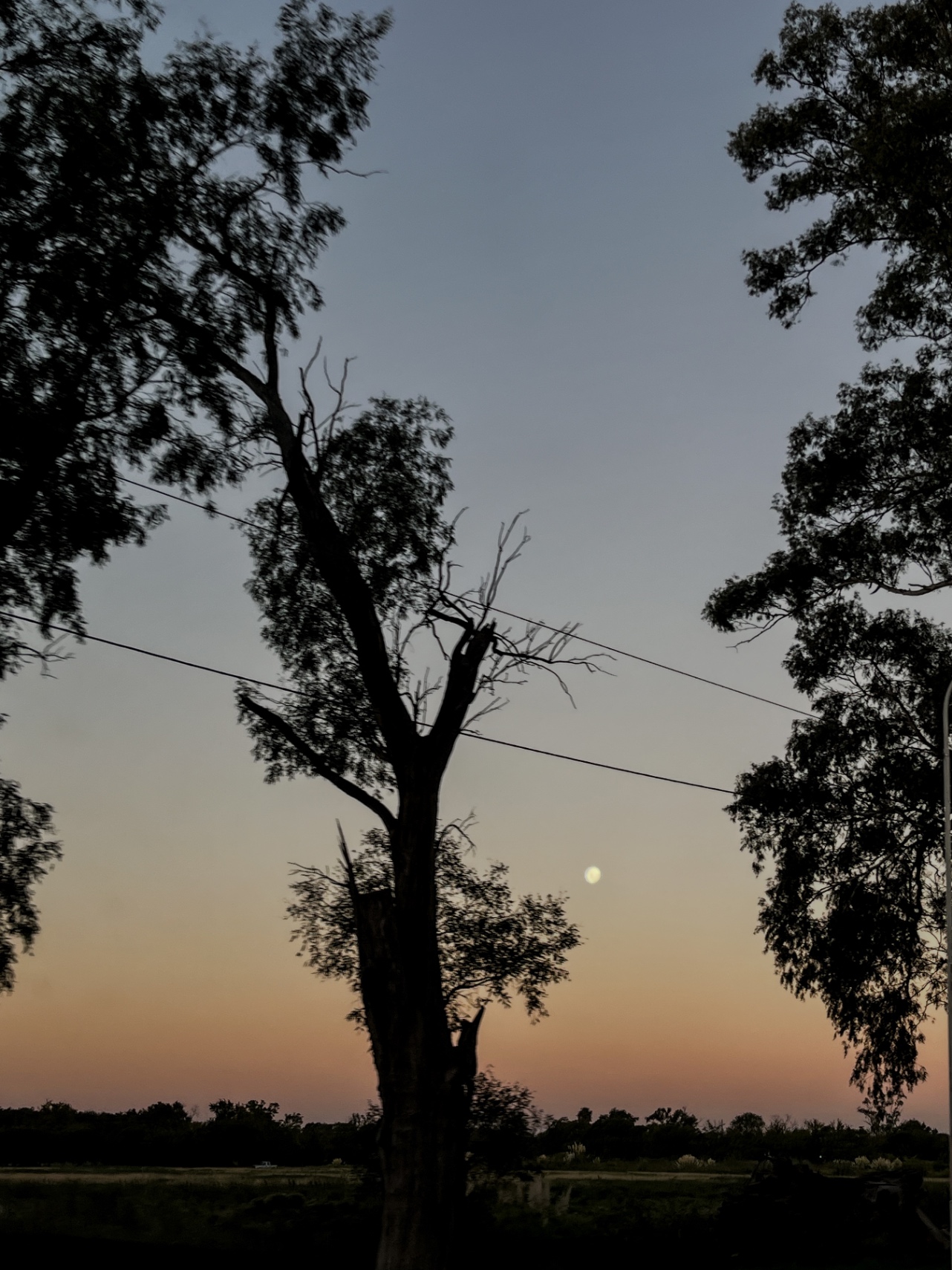 Lo cotidiano y el desborde