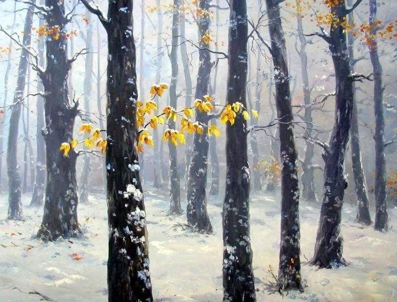 Nocturno crisantemo blanco