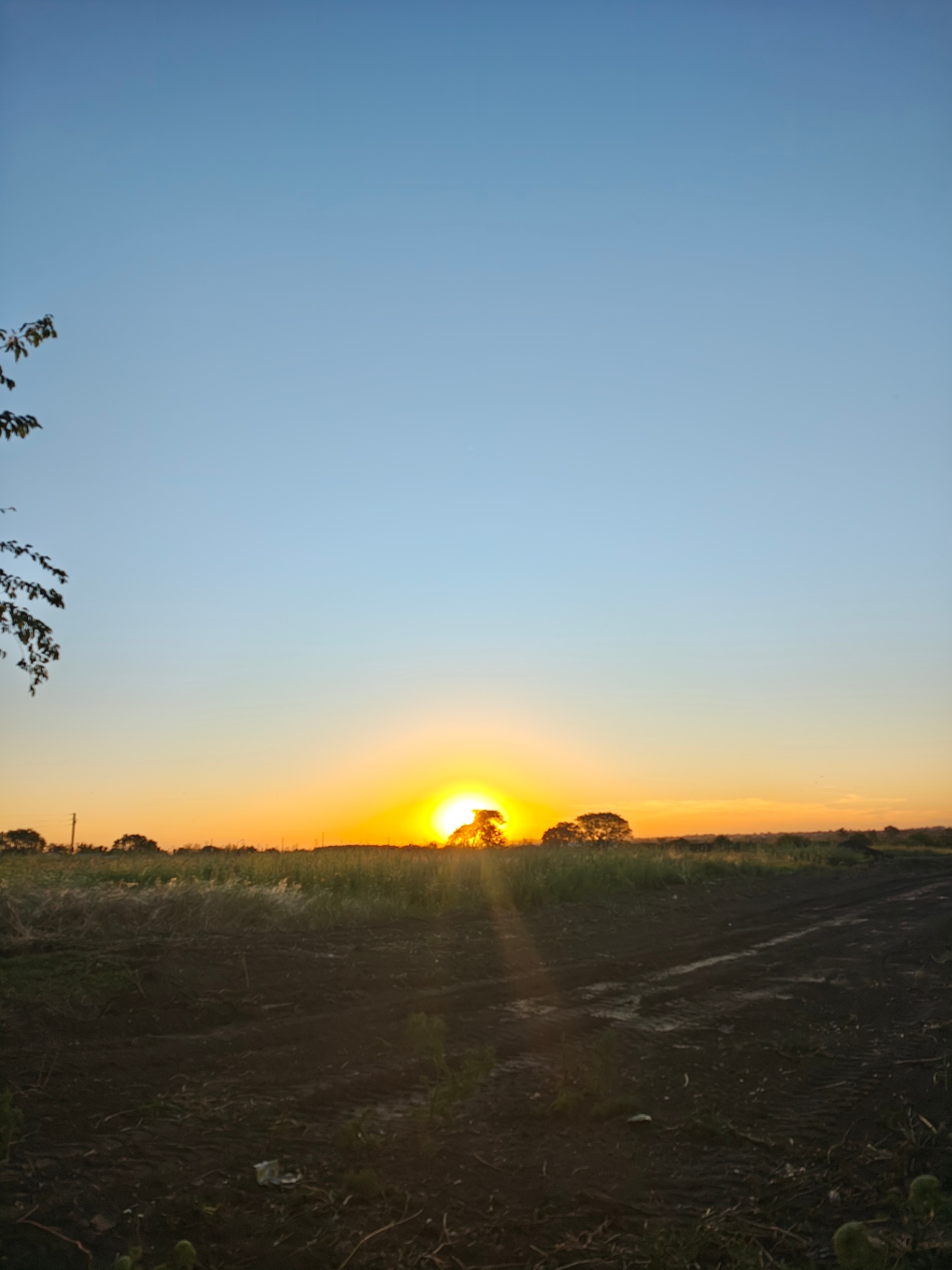 Corazón desbalanceado
