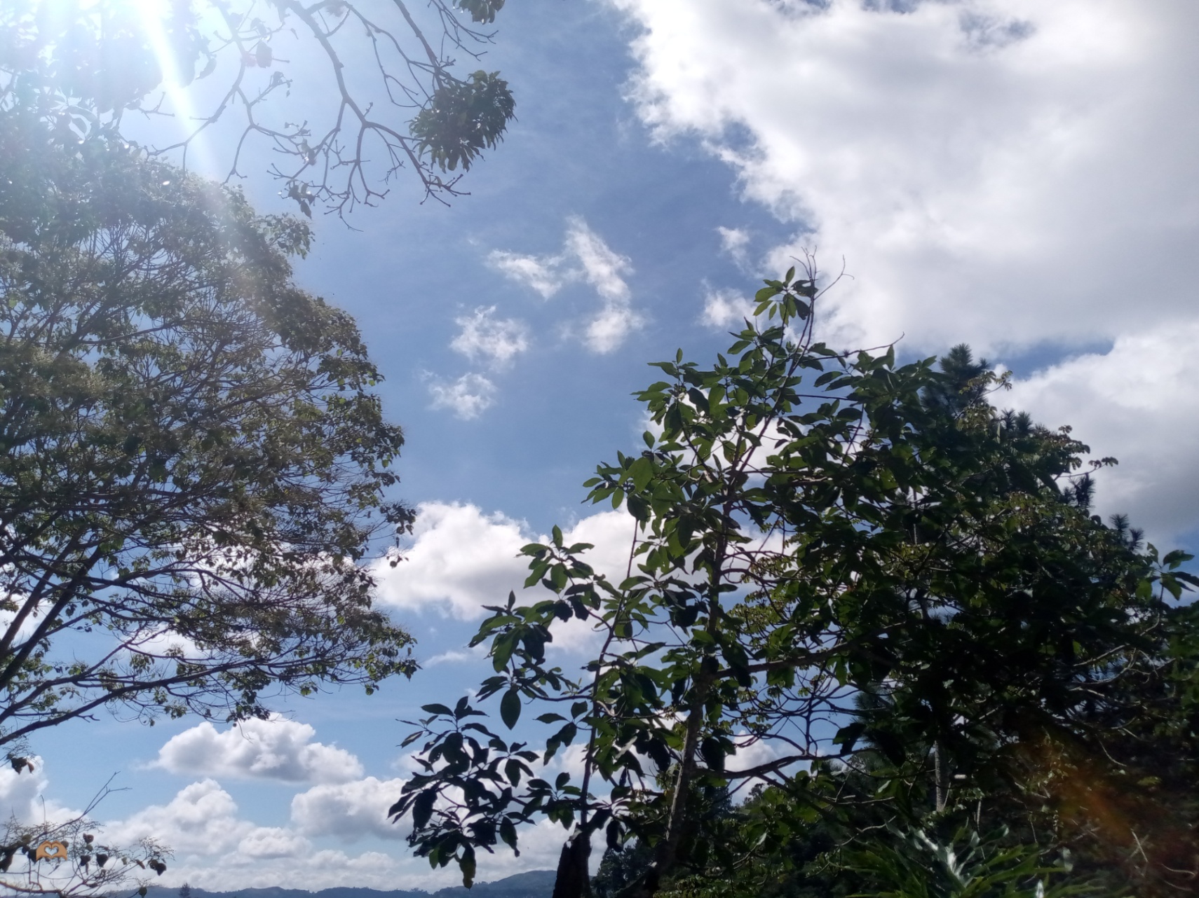 Nunca el primer lugar 