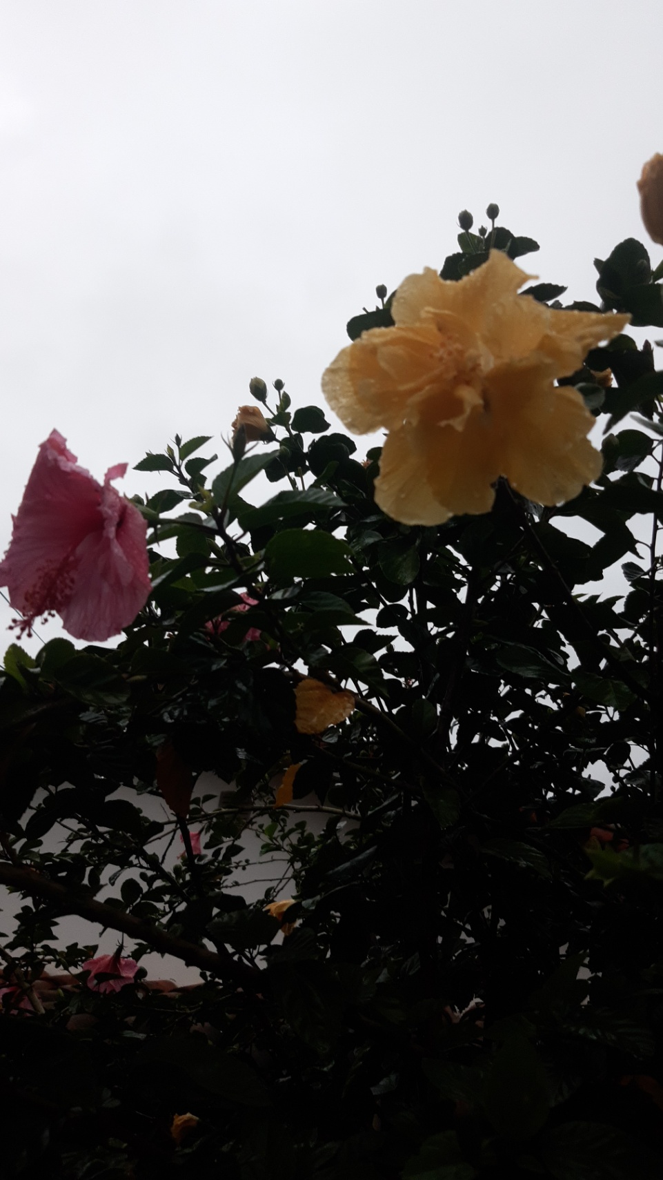 En el cuartito, para siempre