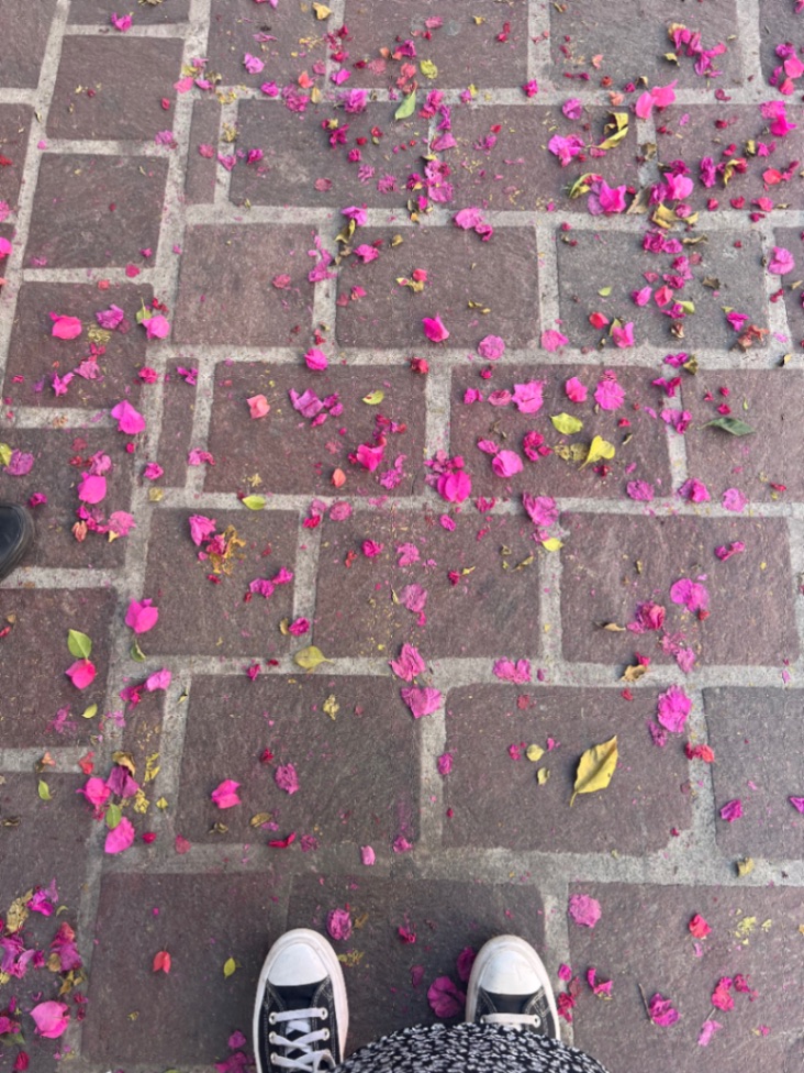 Avellaneda Enríquez