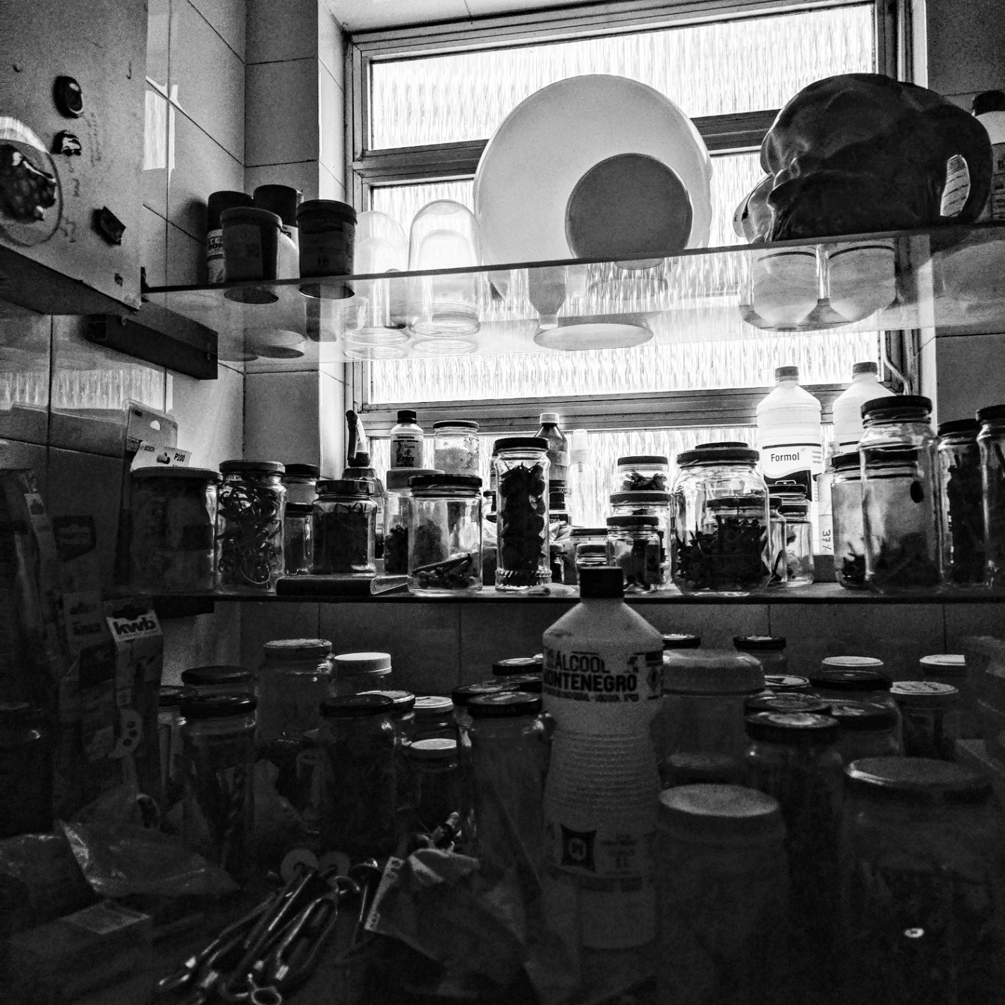 Todo el mundo tiene algo que decir 