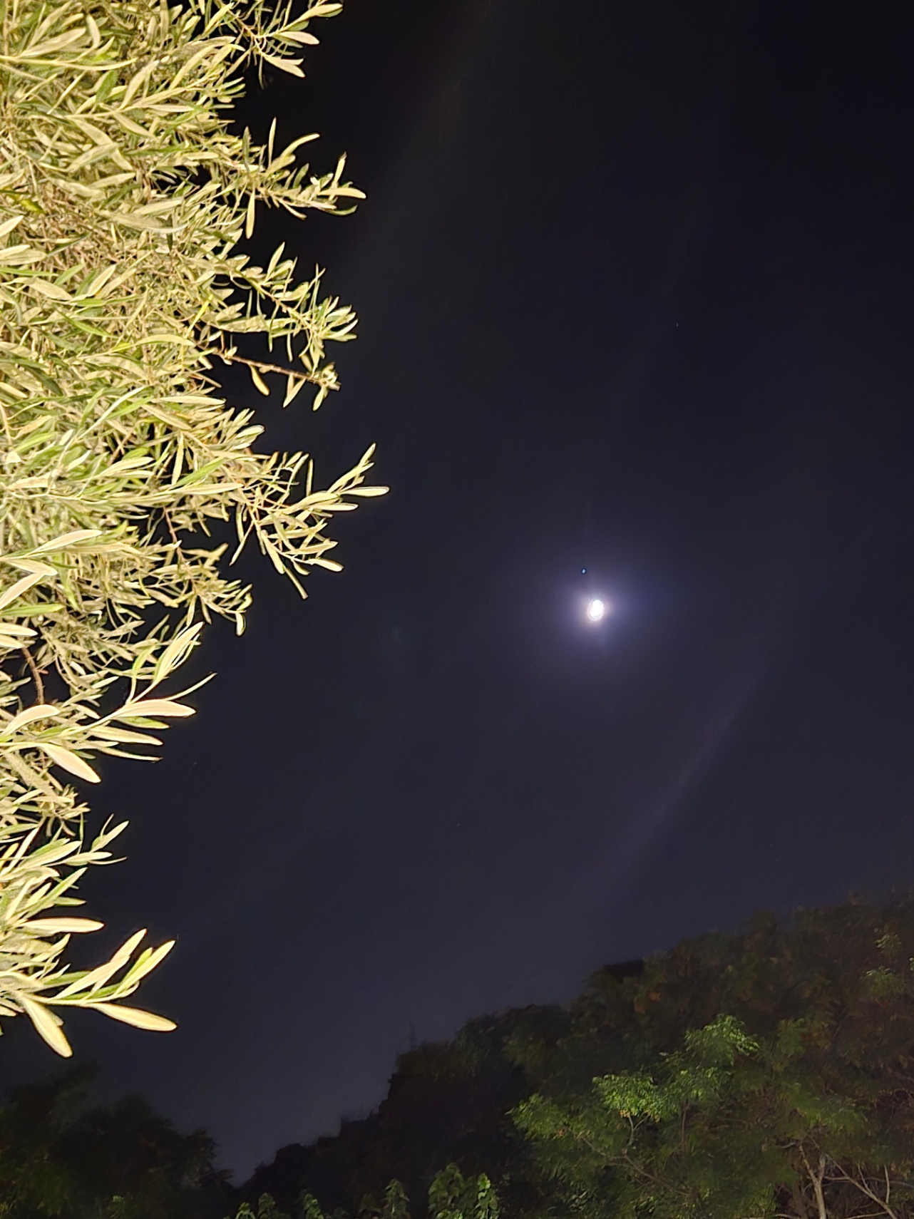 La búsqueda infinita 