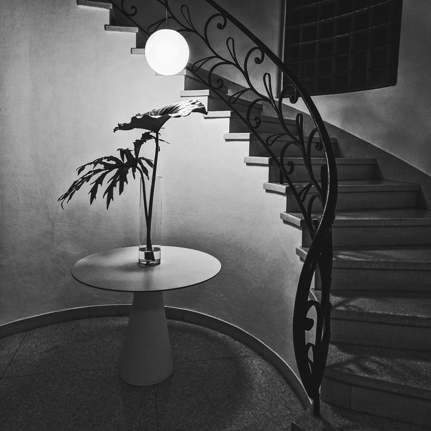 La luminosa ineptitud 