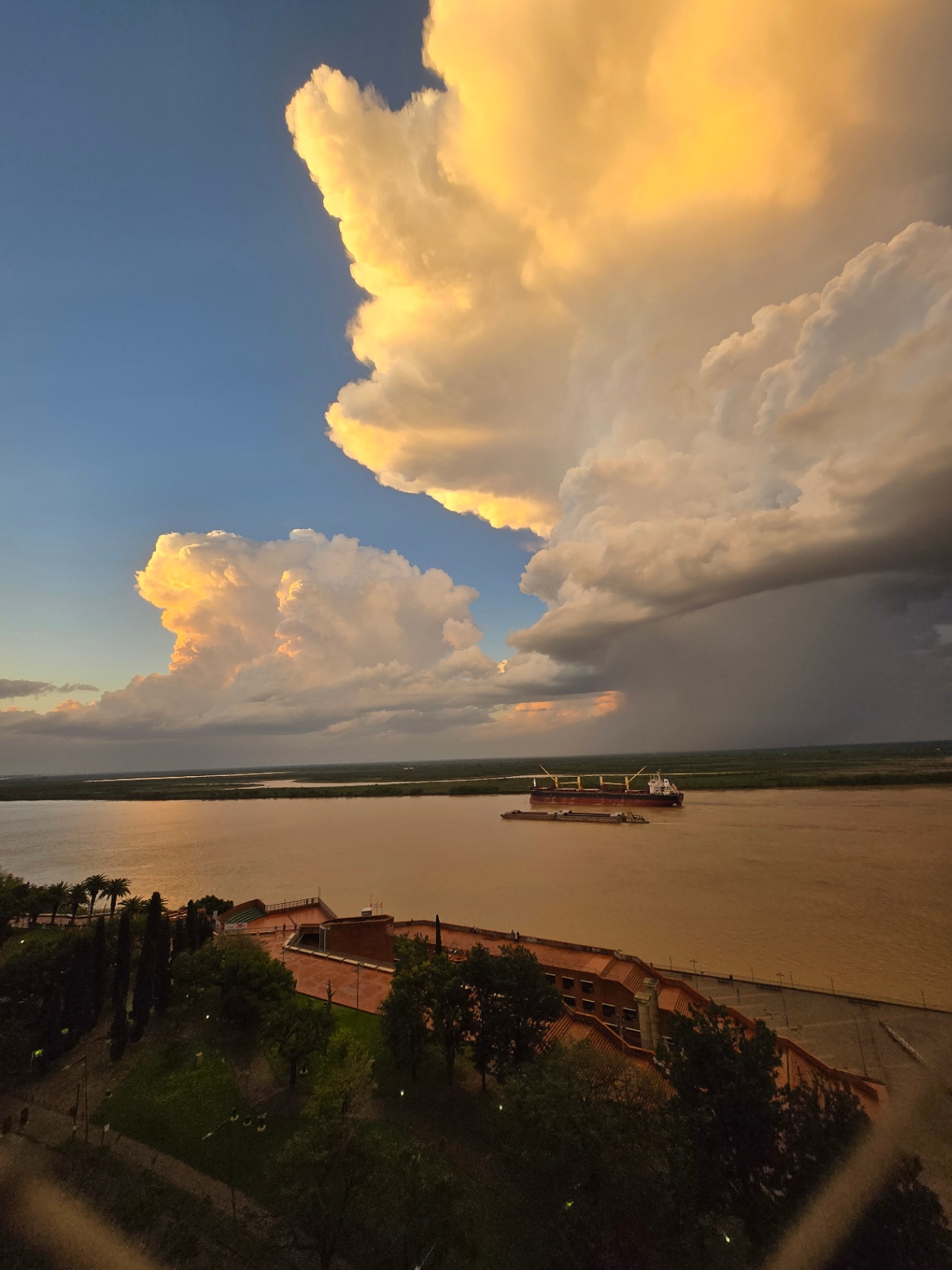 Obsolescencia programada 