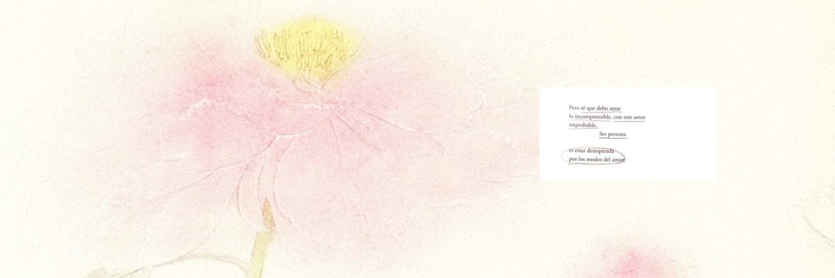 Sentimentalmente, cover img