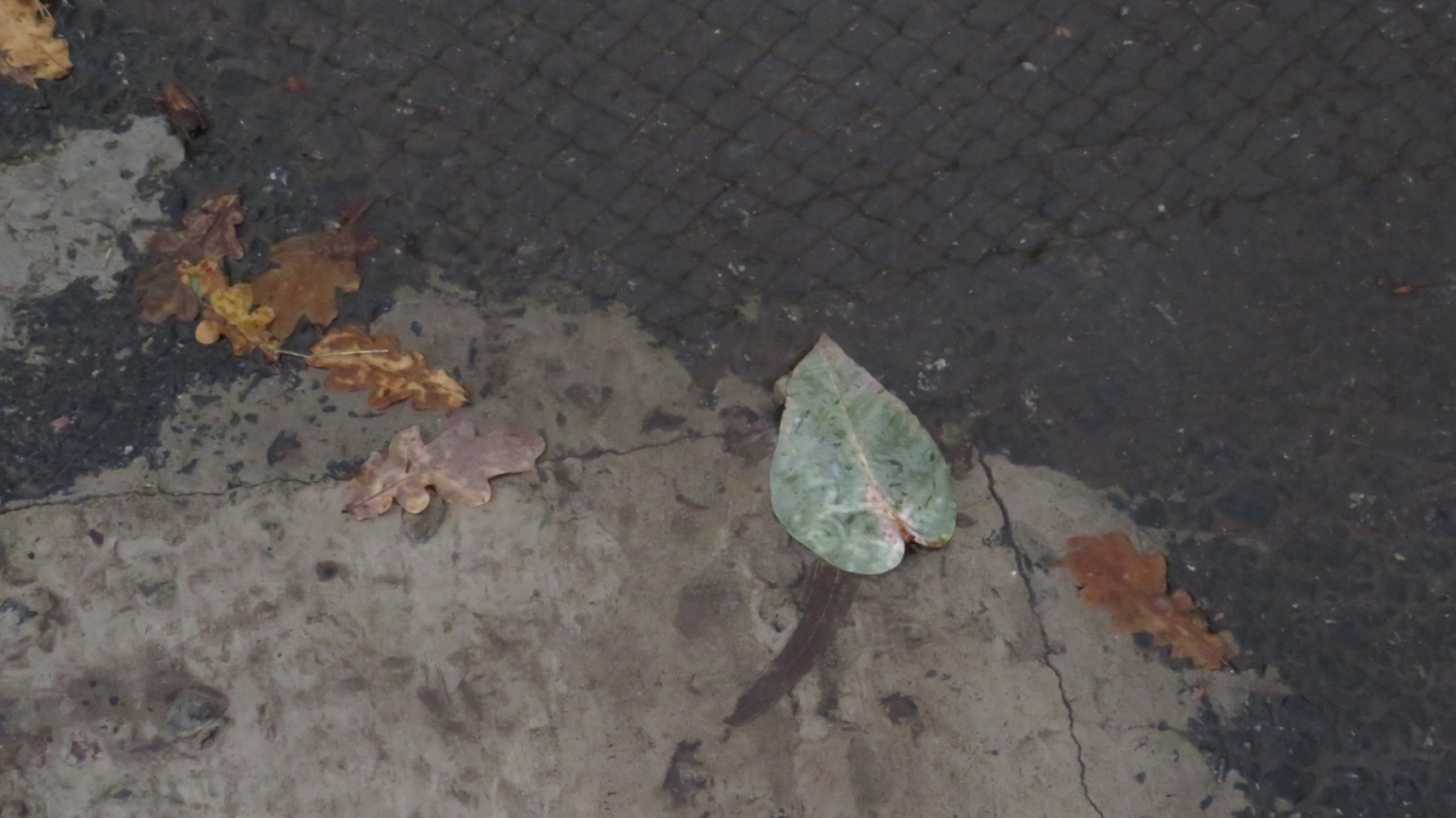 vos y tus mil maneras de hacerte extrañar 