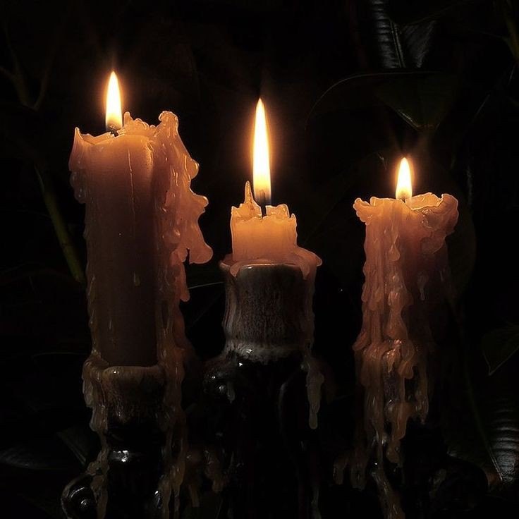 (santuario compartido)