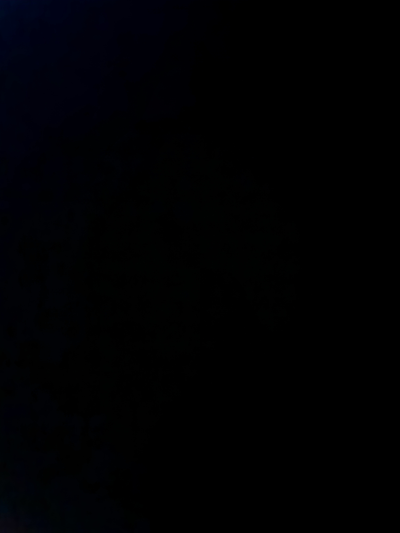 melanie nicole cover img