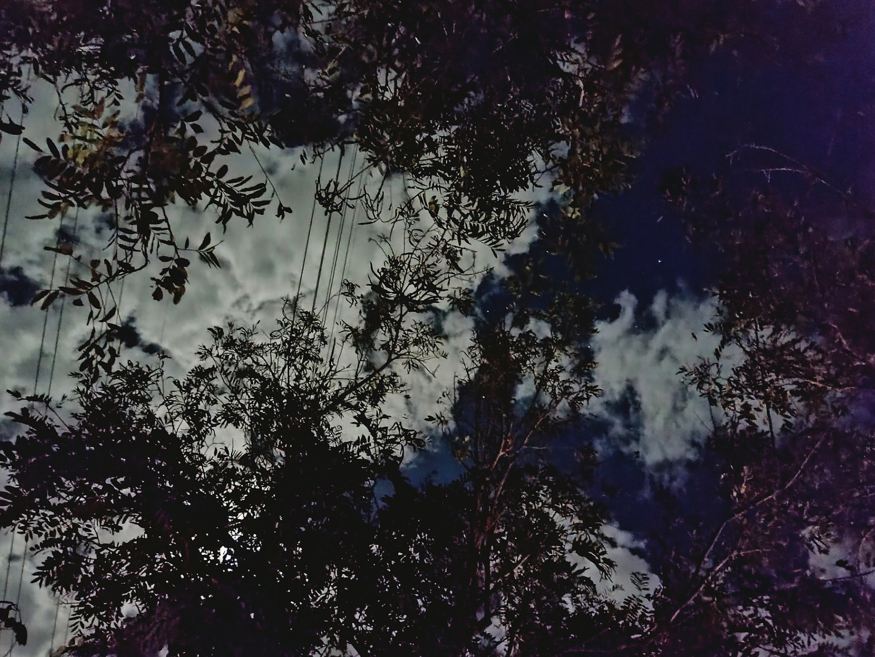 Enero 06 a las 11:08