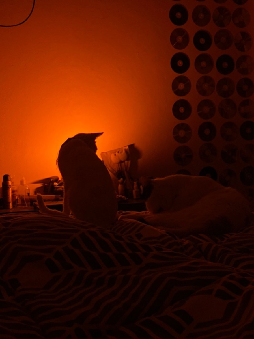 cada que vez que vuelves a mi