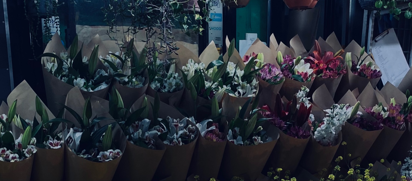 los restos de tu ausencia