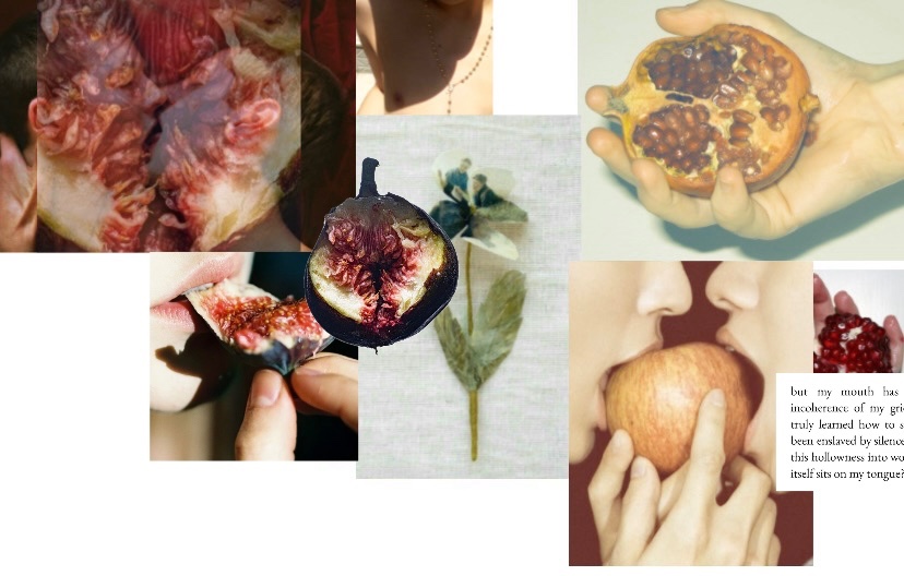 festín del alma 𓆸