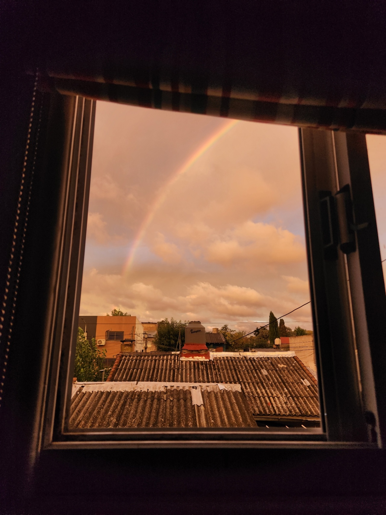 Palabras claras y melancólicas